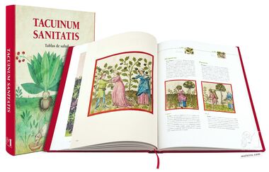 Tacuinum Sanitatis El arte del bienestar desvelado folio a folio