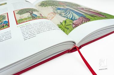 Tacuinum Sanitatis El arte del bienestar desvelado folio a folio