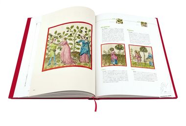 Tacuinum Sanitatis El arte del bienestar desvelado folio a folio