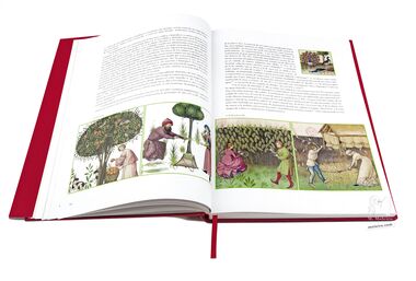 Tacuinum Sanitatis El arte del bienestar desvelado folio a folio