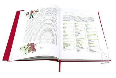 Tacuinum Sanitatis El arte del bienestar desvelado folio a folio