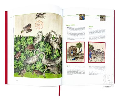 Tacuinum Sanitatis El arte del bienestar desvelado folio a folio