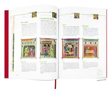 Tacuinum Sanitatis El arte del bienestar desvelado folio a folio