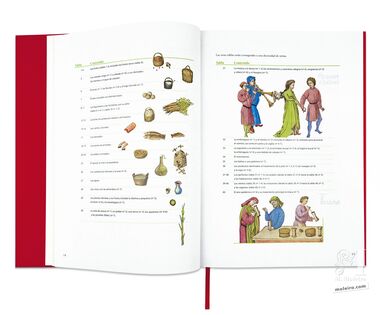 Tacuinum Sanitatis El arte del bienestar desvelado folio a folio