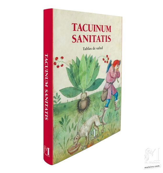 Tacuinum Sanitatis A arte do bem-estar revelada fólio por fólio 