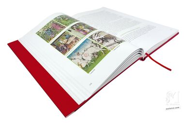 Tacuinum Sanitatis El arte del bienestar desvelado folio a folio