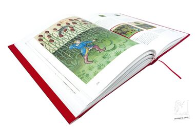 Tacuinum Sanitatis El arte del bienestar desvelado folio a folio