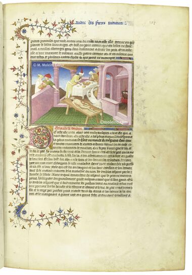 Libro de las maravillas del mundo, Marco Polo - Odorico de Pordenone Bibliothèque nationale de France Libro de las maravillas del mundo, Marco Polo - Odorico de Pordenone Bibliothèque nationale de France