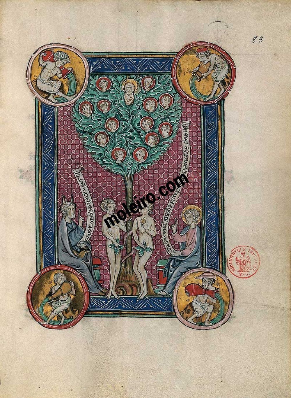 Folder of 5 prints from the Apocalypse of 1313 The Tree of Life, f. 83r