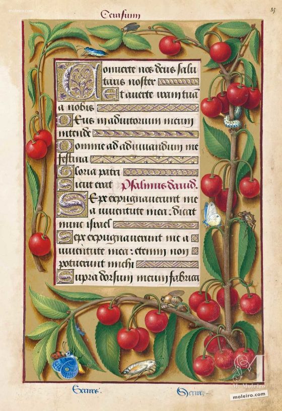 Grandes Heures d’Anne de Bretagne f. 85r
