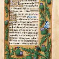 f. 77r, Chardon