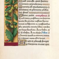 Oak, f. 87v