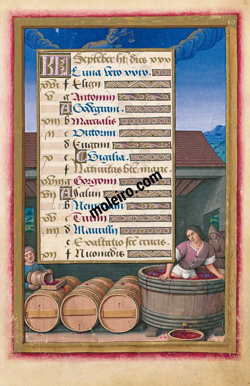 Great Hours of Anne of Brittany The Calendar: September, f. 12