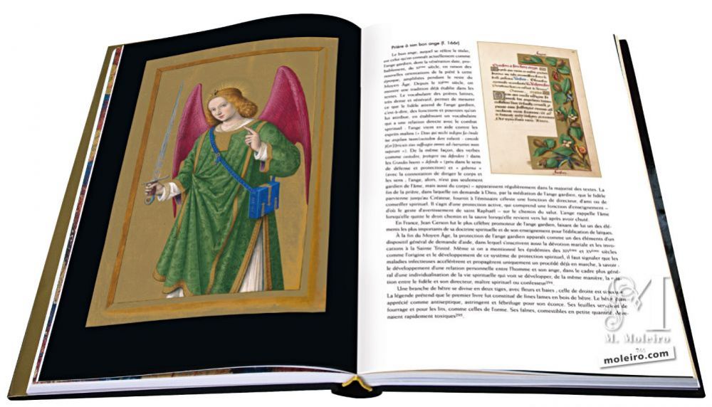 Gran Libro d’Ore d’Anna di Bretagna Arcangelo Raffaele