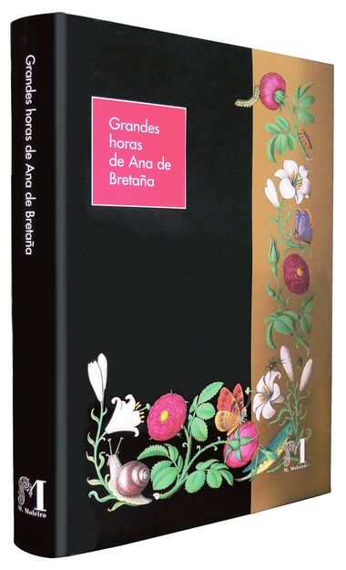 Great Hours of Anne of Brittany Masterpiece of French painting.