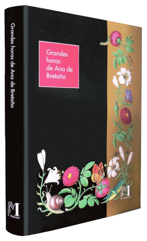 Great Hours of Anne of Brittany Foto der spanischen Fassung des Kunstbuchs Grandes Heures der Anne de Bretagne (frühes 16. Jahrhundert)