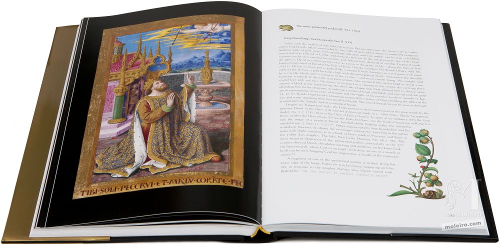 Les Grandes Heures d’Anne de Bretagne Le roi David demande pardon à Dieu