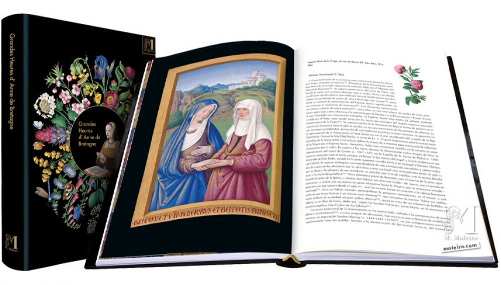 Gran Libro d’Ore d’Anna di Bretagna Lodi: Visitazione (f.36v)