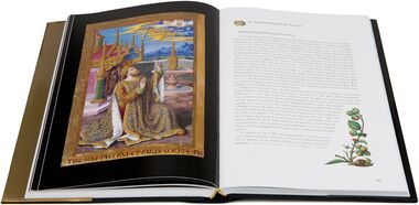 Great Hours of Anne of Brittany Masterpiece of French painting.