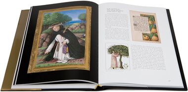 Great Hours of Anne of Brittany Masterpiece of French painting.