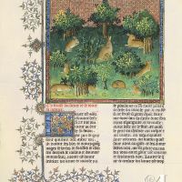 Cy devise du lievre et de toute sa nature - F. 24v