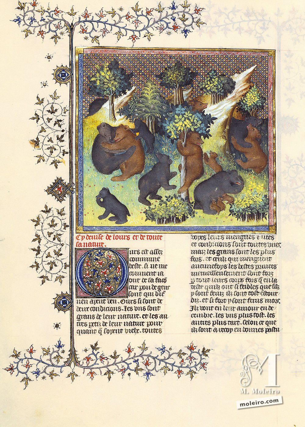 Beschreibung des Brens und seines Wesens - f.27v, Livre de la chasse, Das Buch von der Jagd, Gaston Fébus, Gaston Phébus, BnF, Bibliothèque nationale de France, frhes 15. Jahrhundert, Paris 