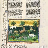 Del perro perdiguero y su naturaleza - f. 50r