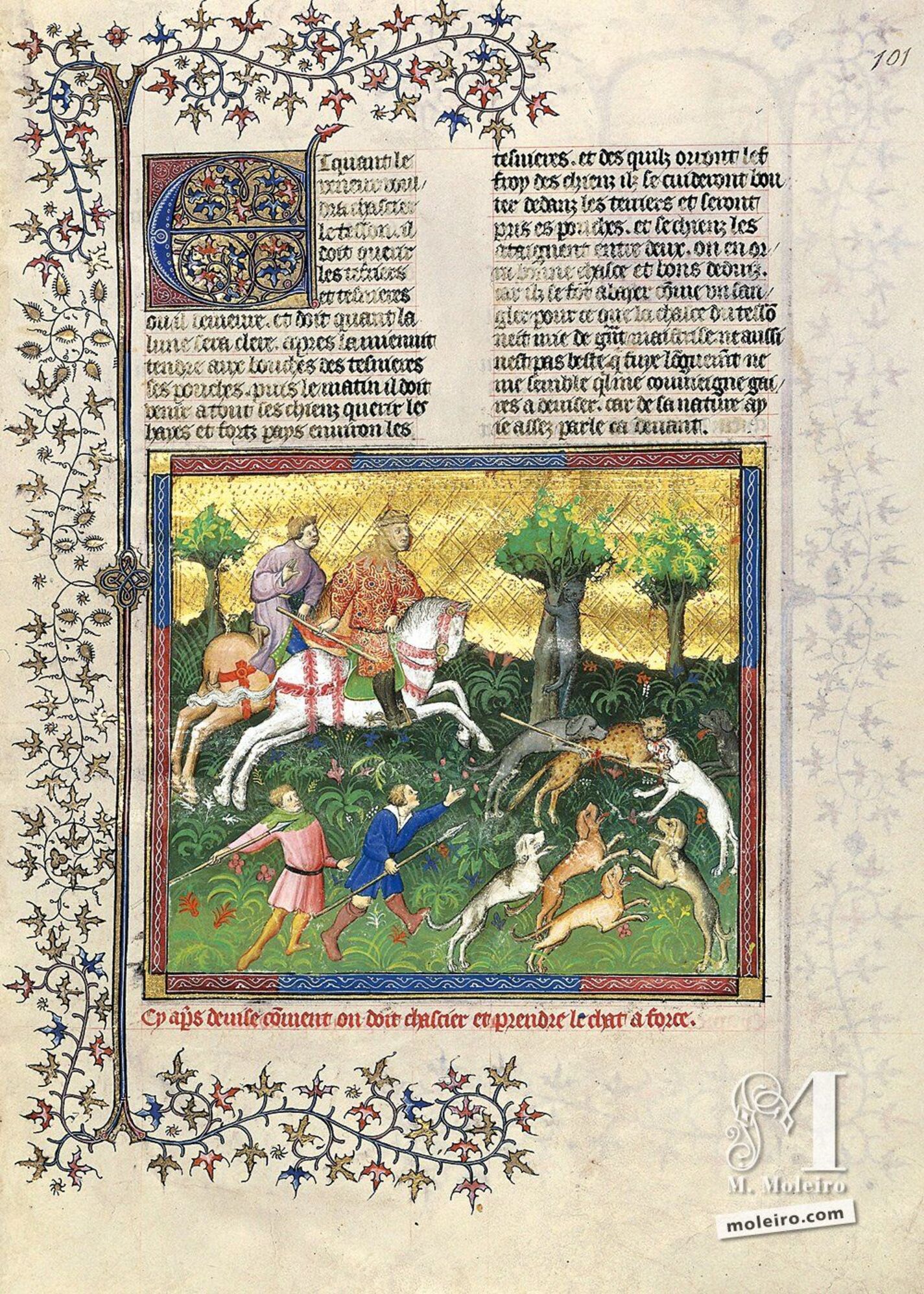 Descripción de cómo hay que cazar y abatir por la fuerza al gato salvaje (lince) - f. 101r