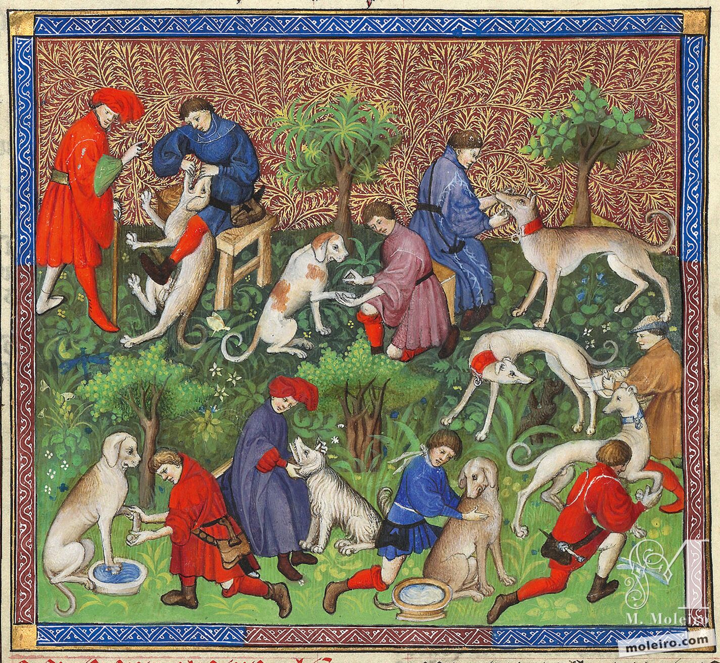 De las enfermedades de los perros y de sus características - f. 40v