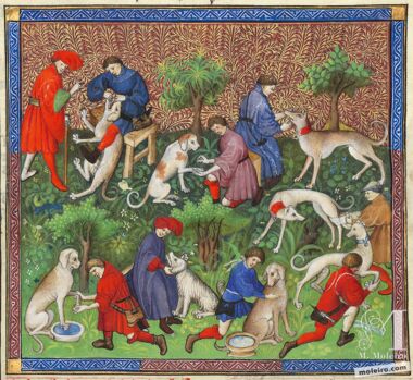 Livre de la Chasse, by Gaston Fébus Bibliothèque nationale de France, Paris