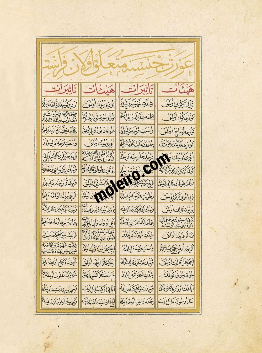 f. 65v, La scienza della fisionomia delle donne. Libro della Felicitá (Matali’ al-sa’adet)
Manoscritto turco ottomano del 1582, Suppl. turc 242 - Bibliothèque Nationale de France, Parigi