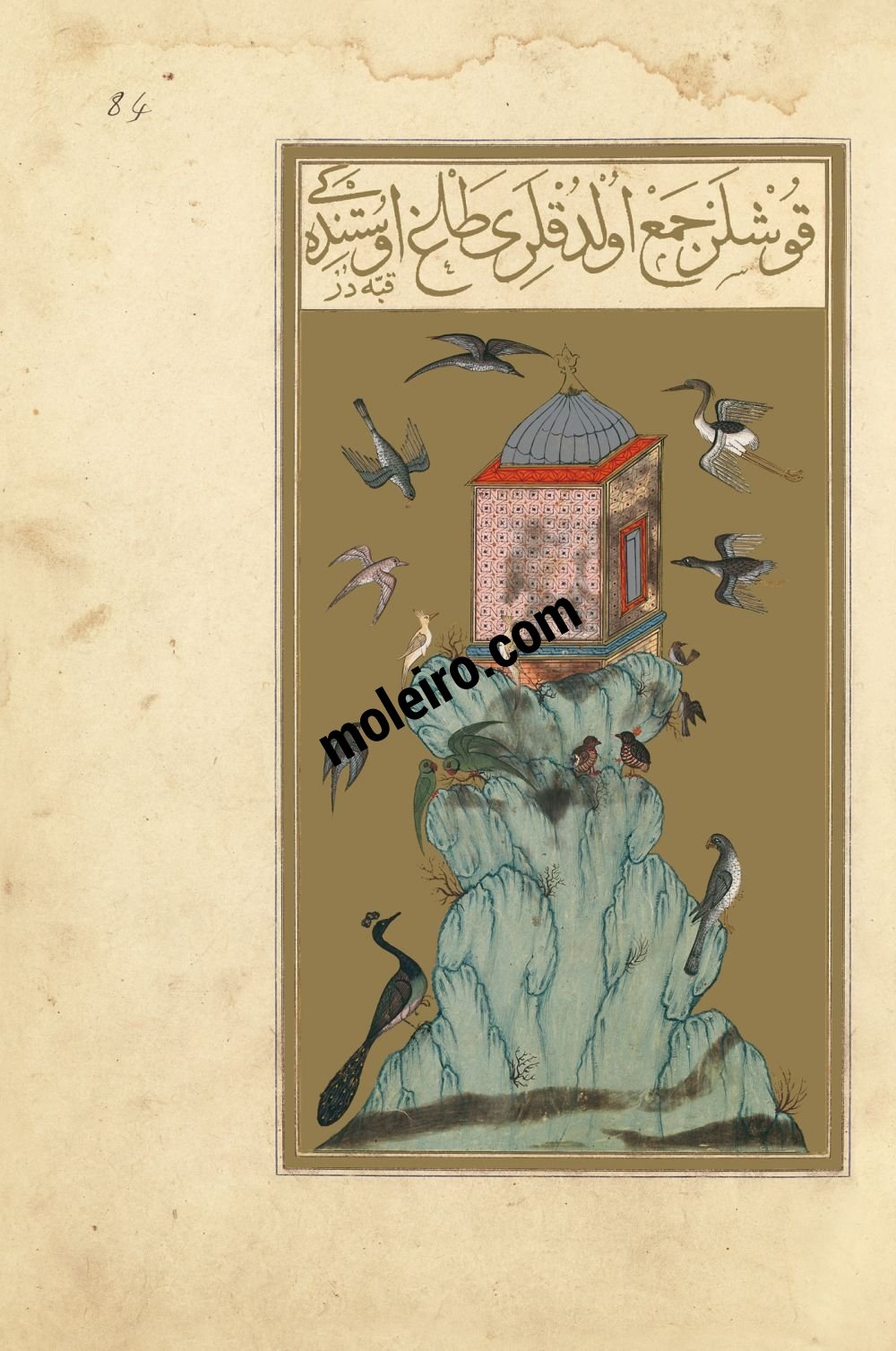 f. 84r, La montagna degli uccelli. Libro della Felicitá (Matali’ al-sa’adet)
Manoscritto turco ottomano del 1582, Suppl. turc 242 - Bibliothèque Nationale de France, Parigi