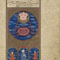 f. 14v, The Image of Cancer