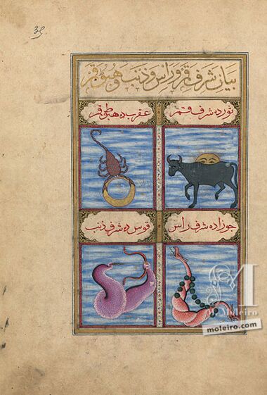 The Book of Felicity (Matali’ al-saadet) Bibliothèque nationale de France