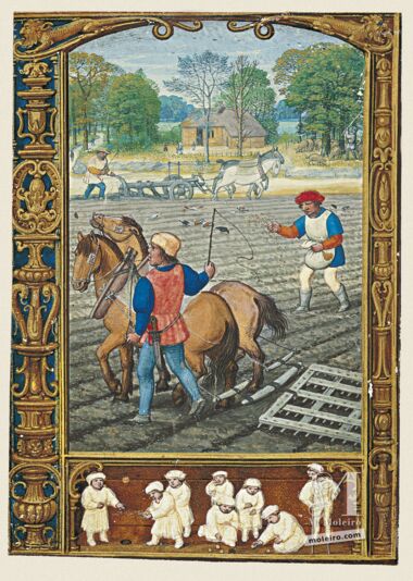 The Golf Book (Book of Hours) The British Library, London