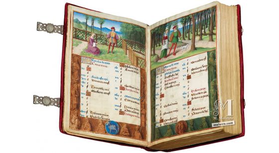 The Hours of Henry VIII The Morgan Library & Museum, New York