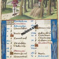 Noviembre. La montanera, f. 6r