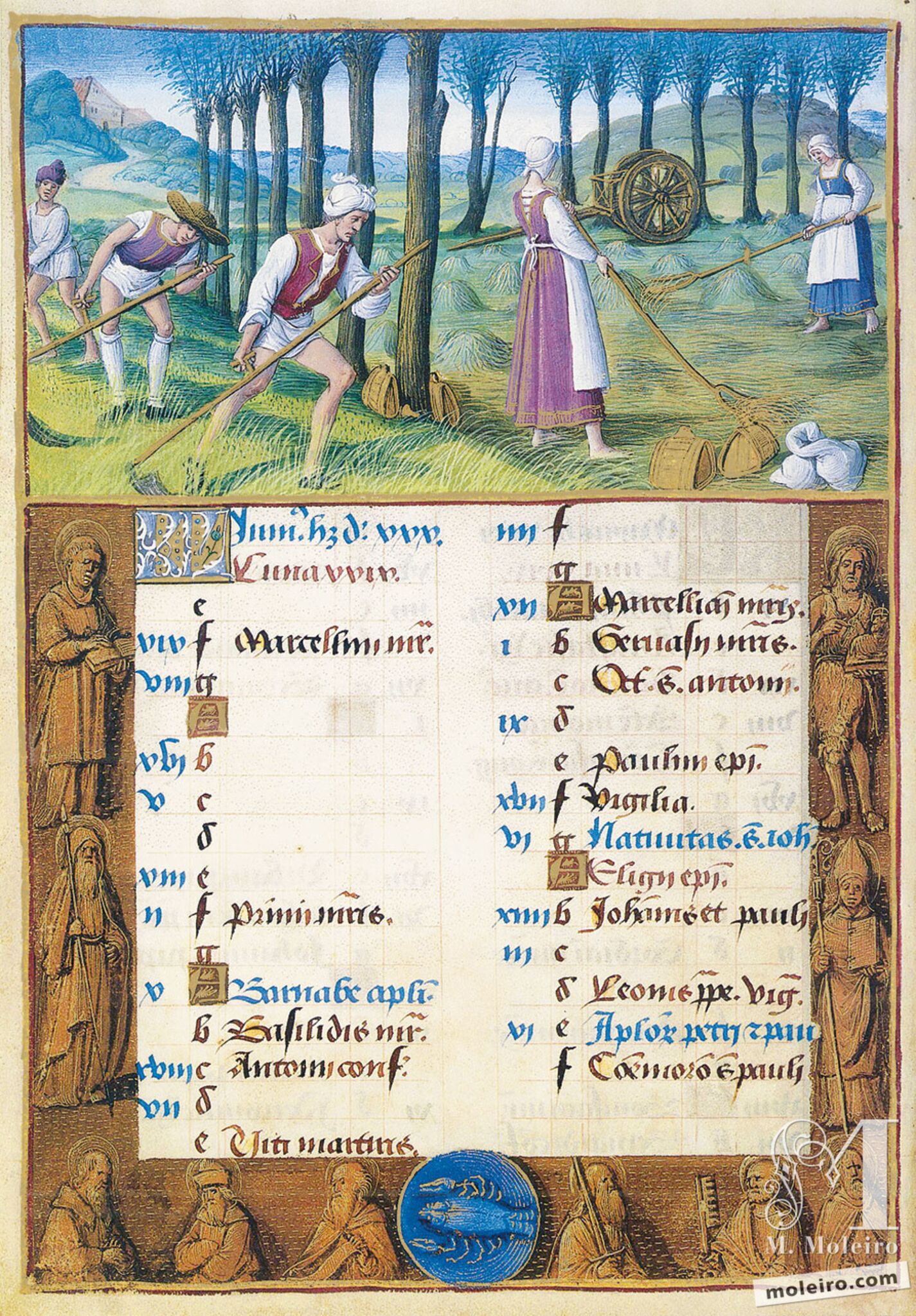 Junio. La siega, f. 3v