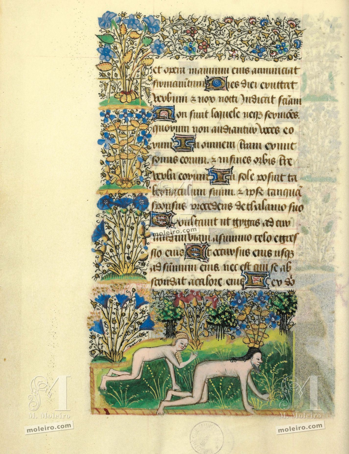 f. 24r