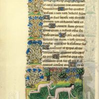 F. 24r
