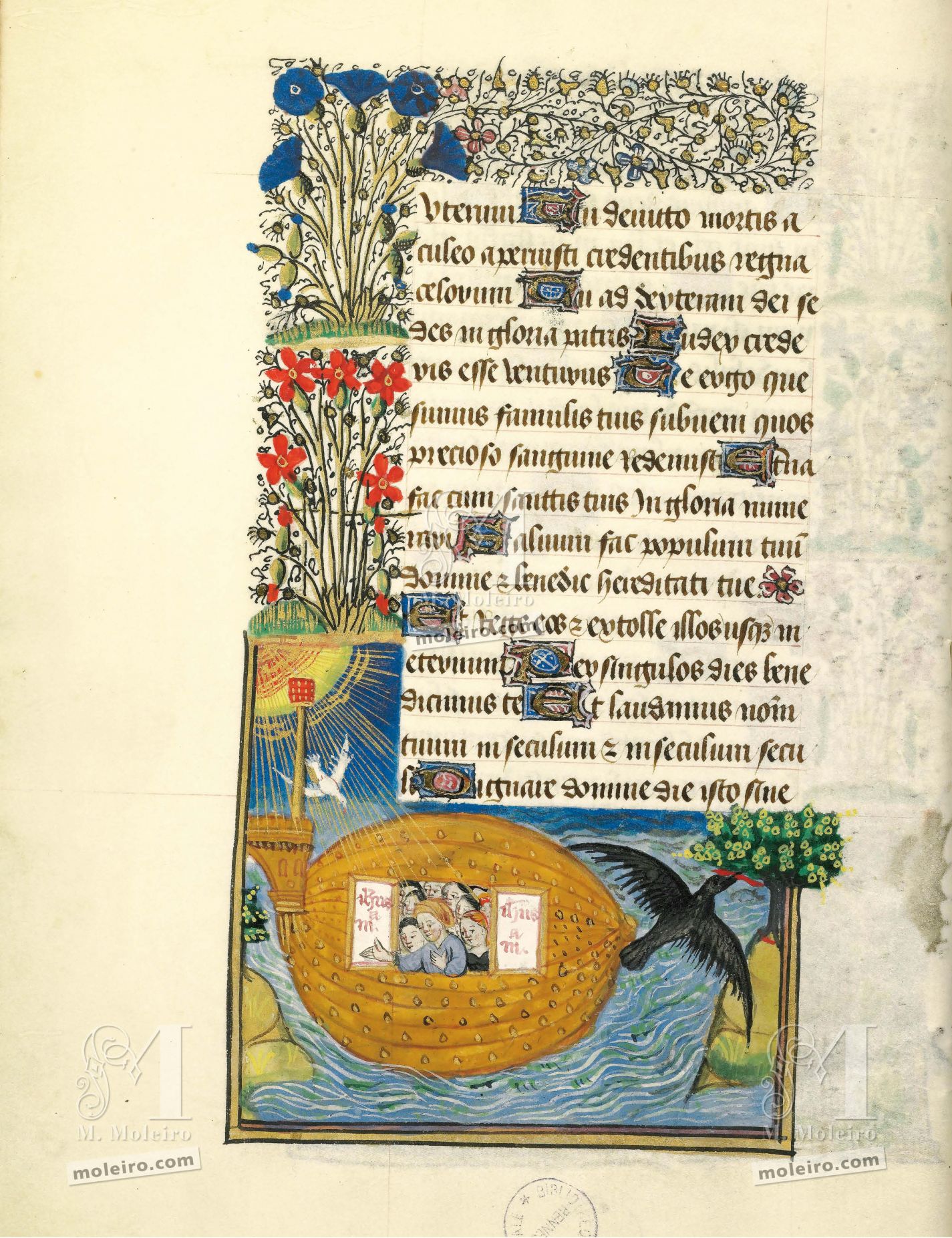 f. 29v