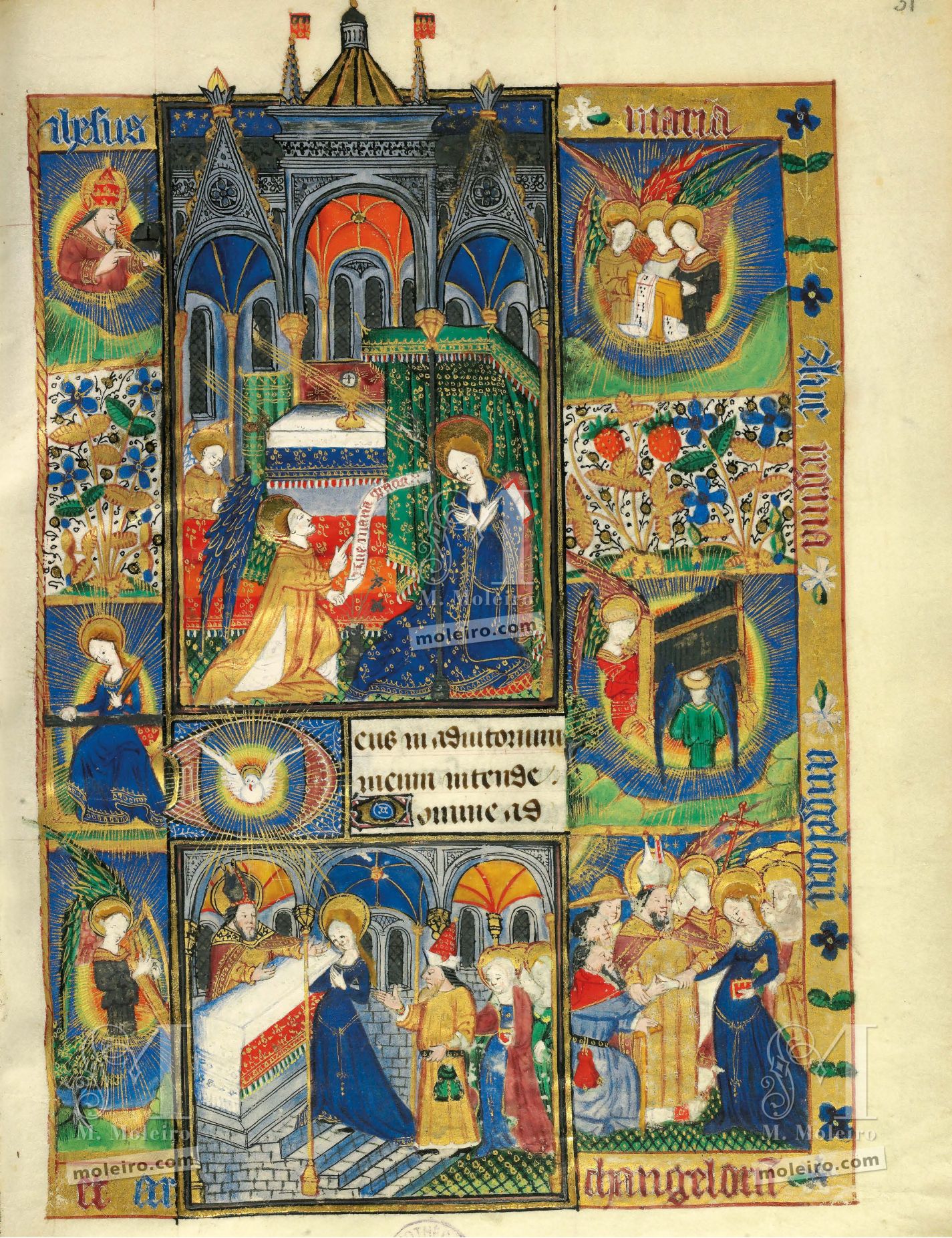 f. 31r