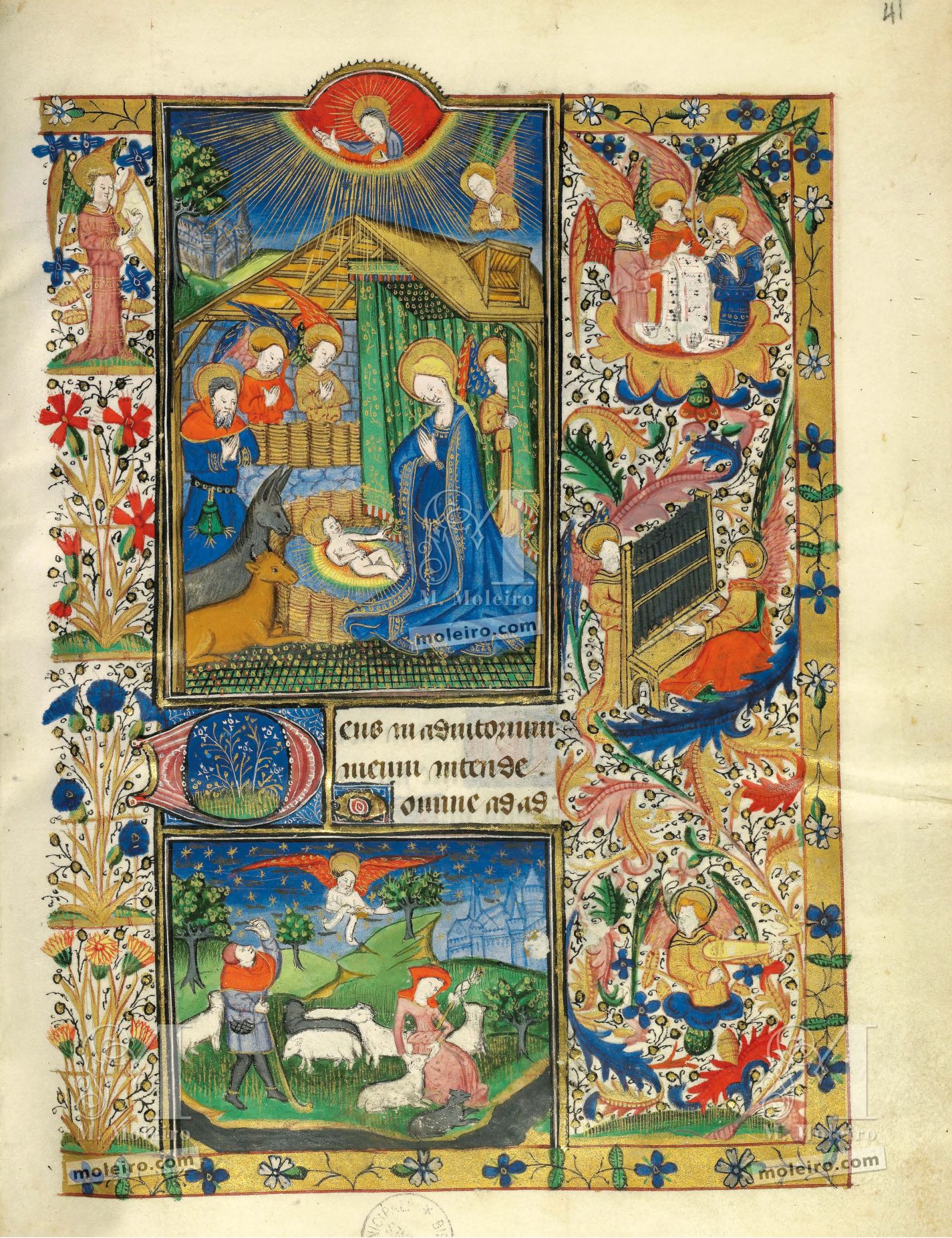f. 41r