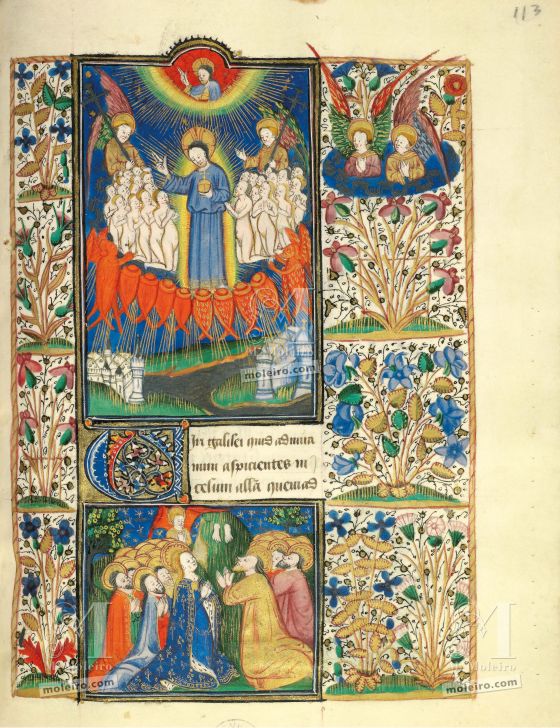 The Hours of Jean de Montauban, f. 113r