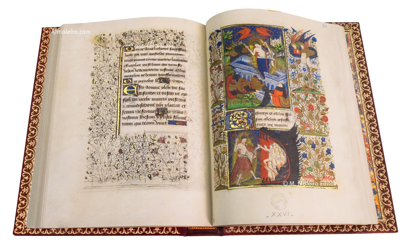 Libro d'Ore di Jean de Montauban 