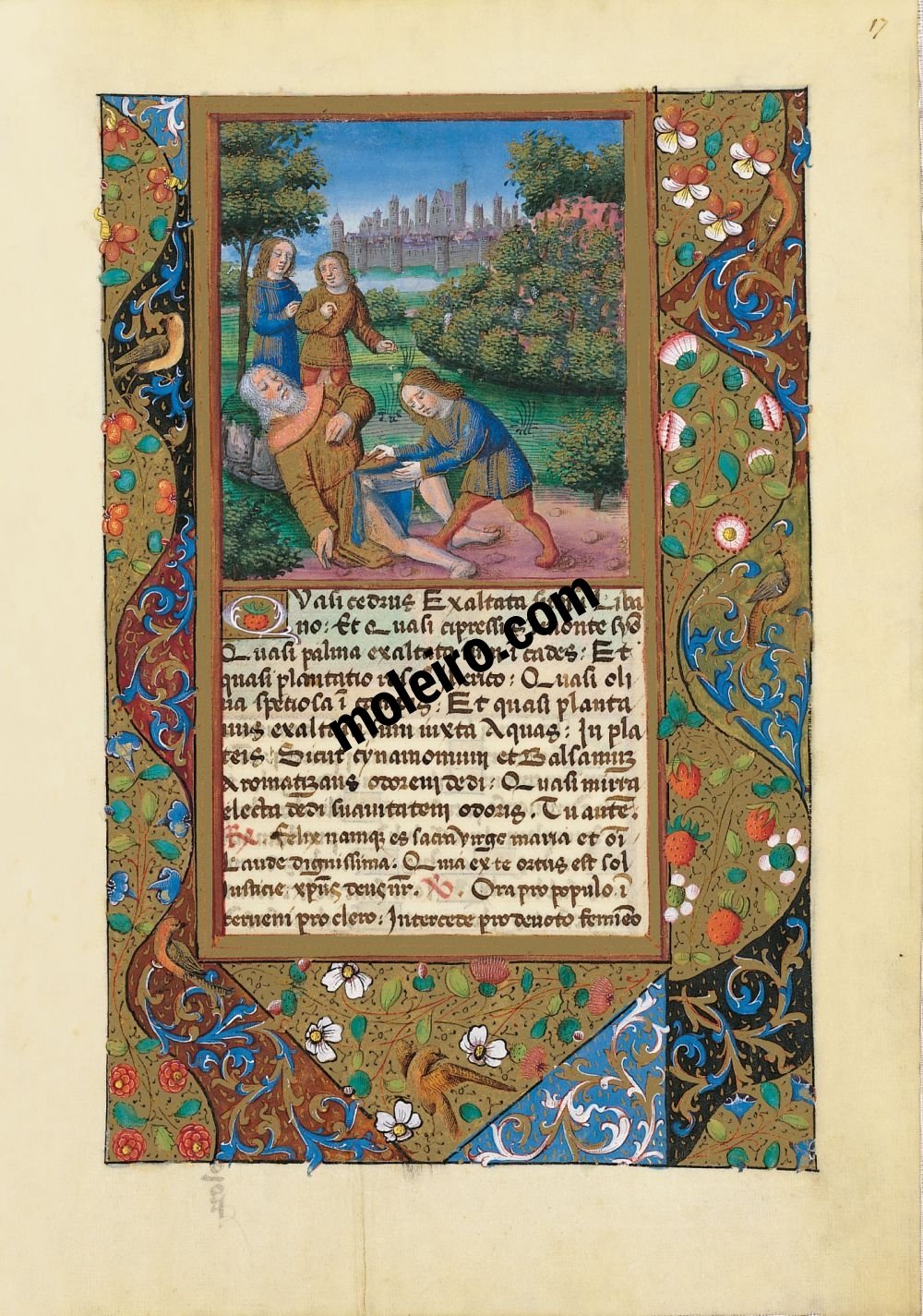 Livre d’Heures de Louis d’Orléans f. 17r, Les railleries envers Noé