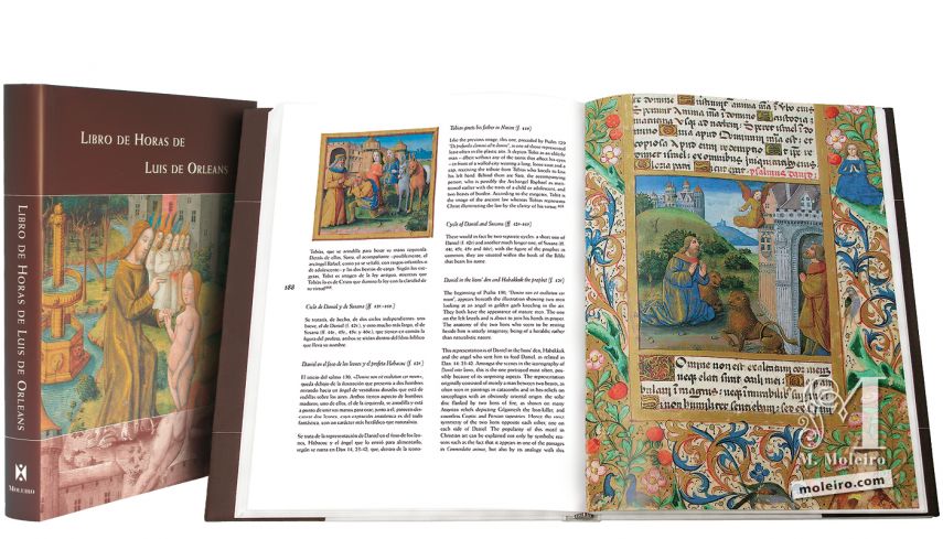 Livre d'Heures de Louis d'Orléans 