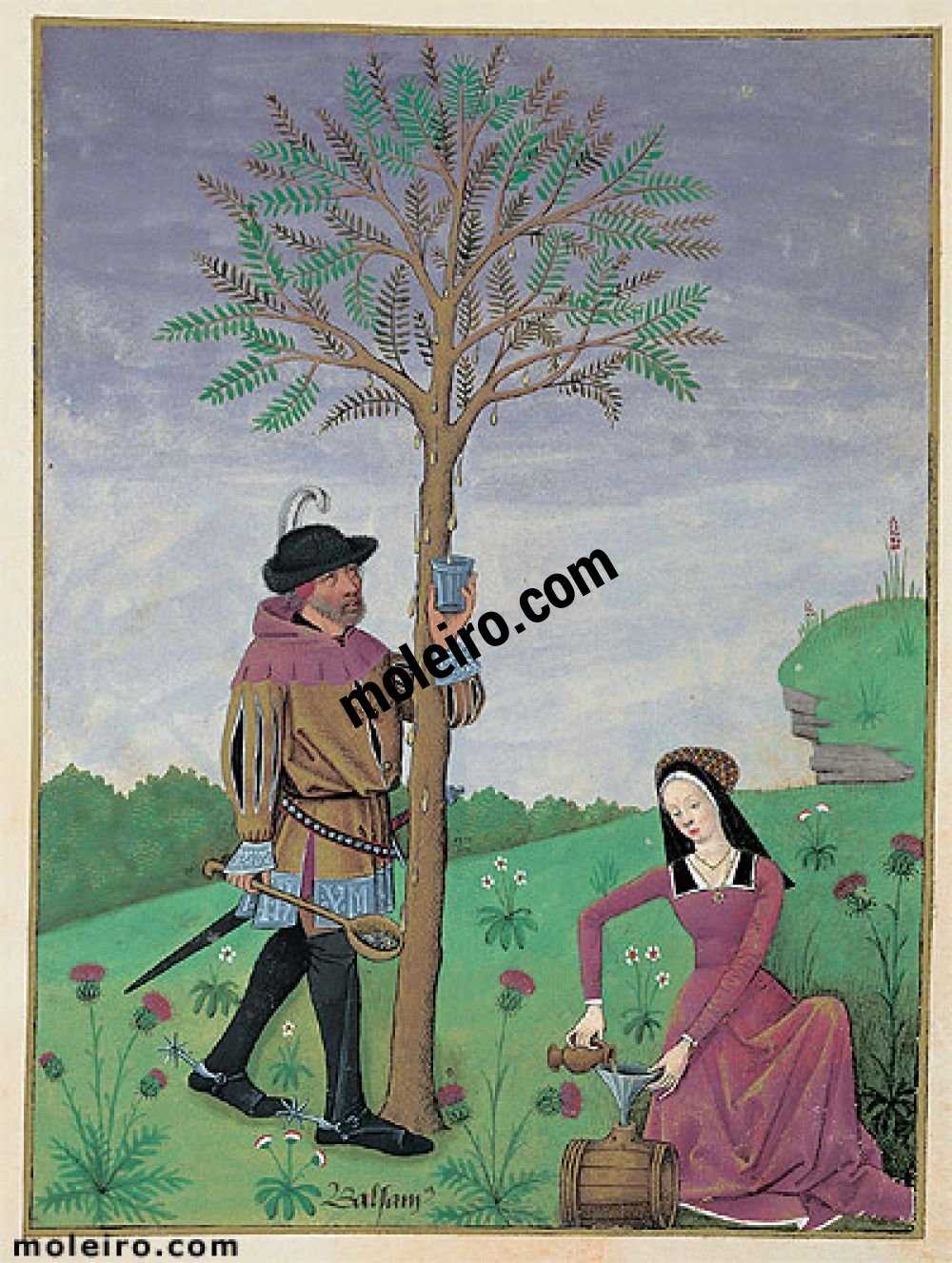The Book of Simple Medicines folio 162v