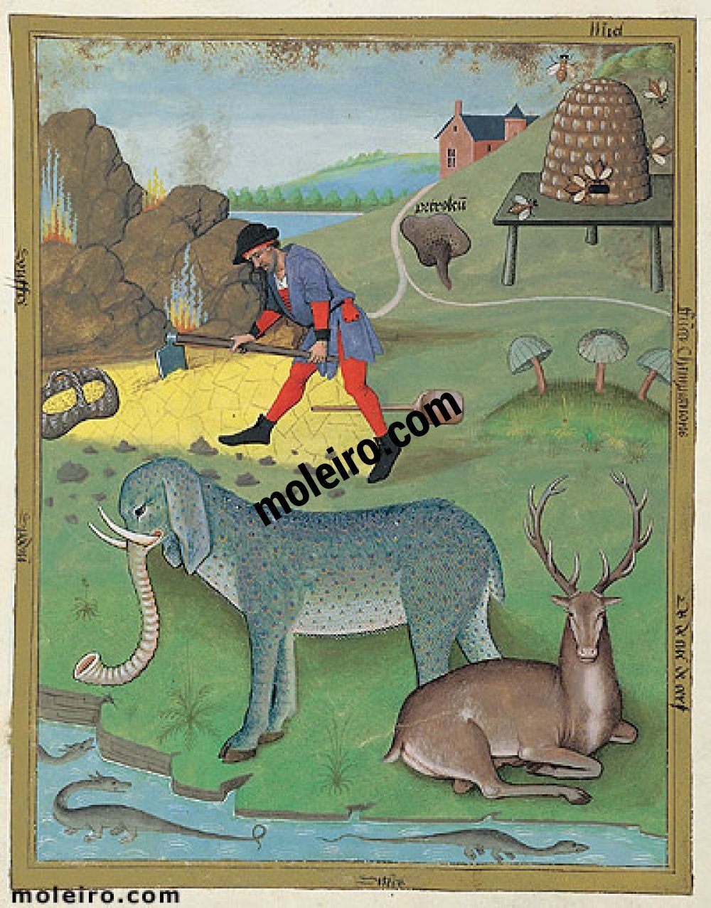 Libro delle Medicine Semplici folio 168v