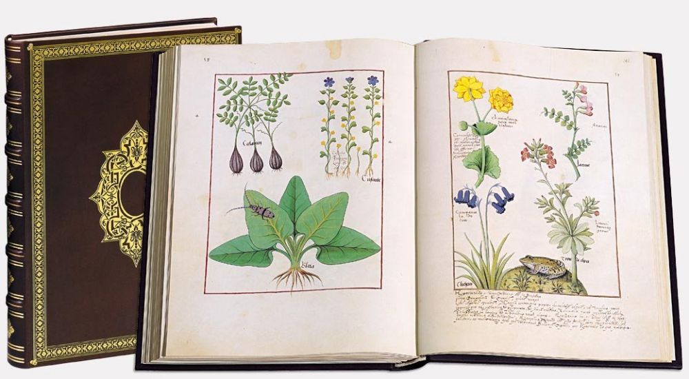 The Book of Simple Medicines 